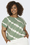 Hedge Green/Tie Dye Stripes
