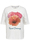 cloud-dancer-tropical