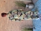 Bagoes lange blouse oprolmouw blad | B002013P-1geel/bladM=46-48&nbsp;