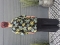 Bagoes kimono kort palmboom print | B003011Pwit/olijBig Size&nbsp;